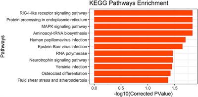 Genetic Parameter Estimation and Whole Sequencing Analysis of the Genetic Architecture of Chicken Keel Bending